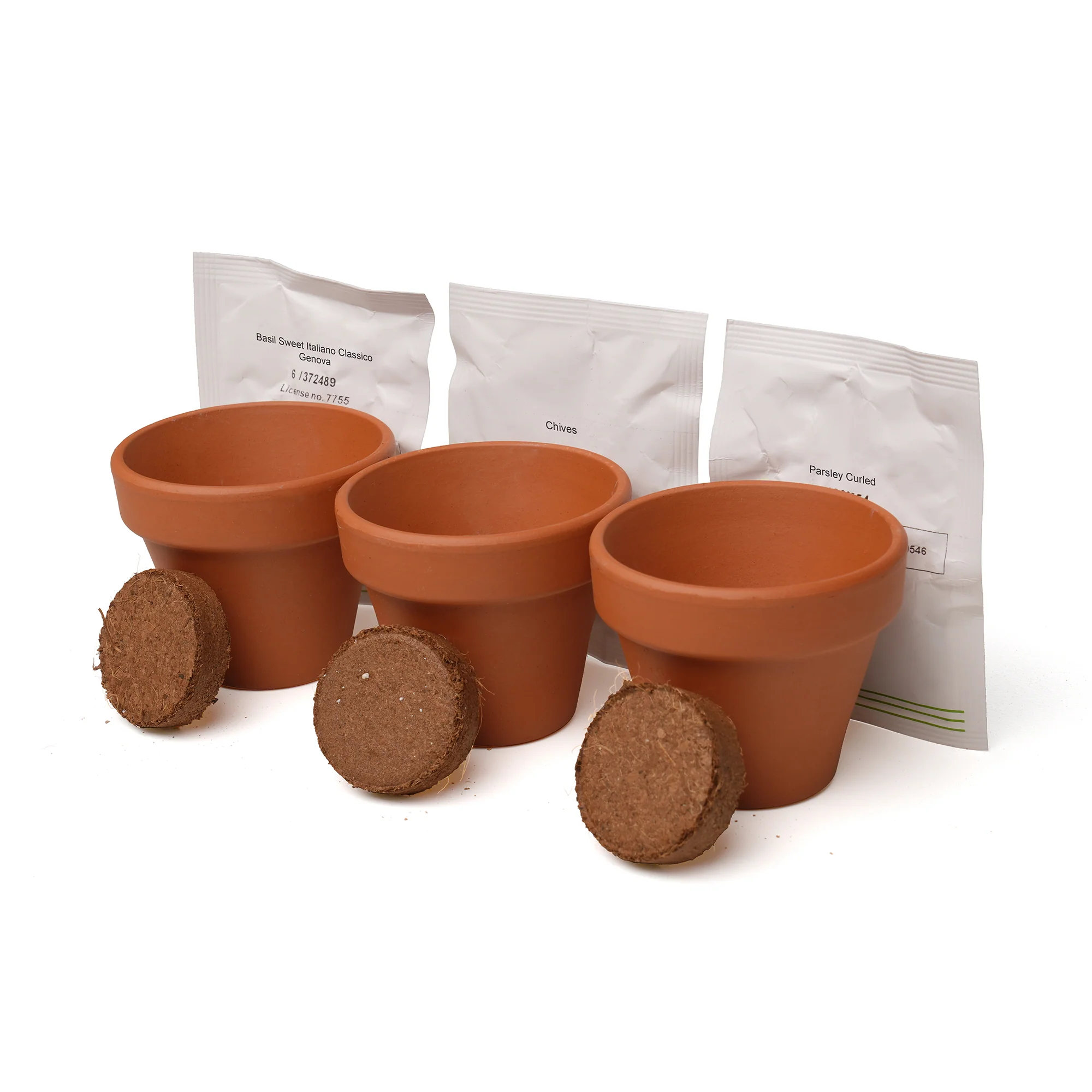 3-in-1 Garden Trio Herb - Image 5