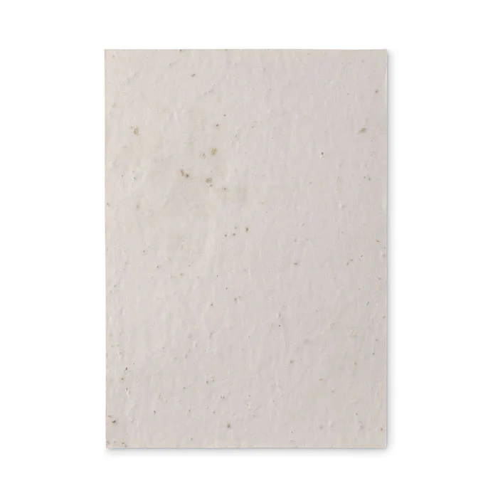 A5 wildflower seed paper sheet - Image 5