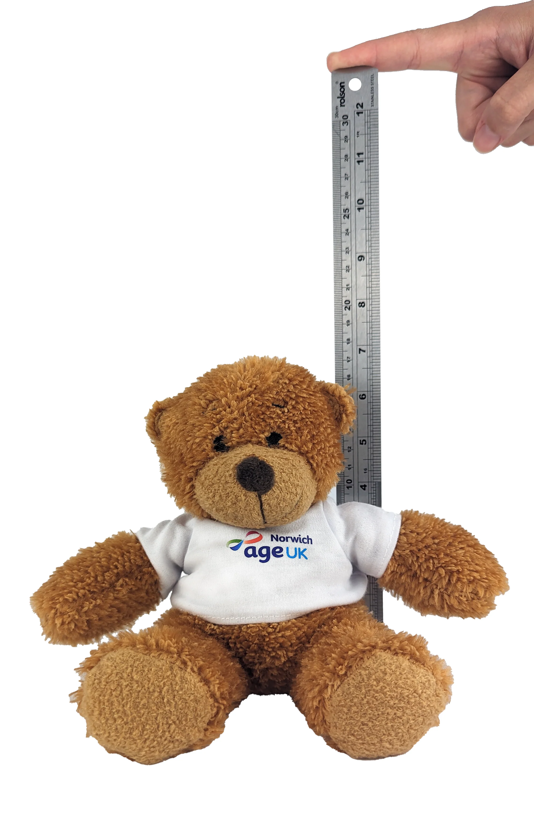 Anne Teddy Bear - Image 4