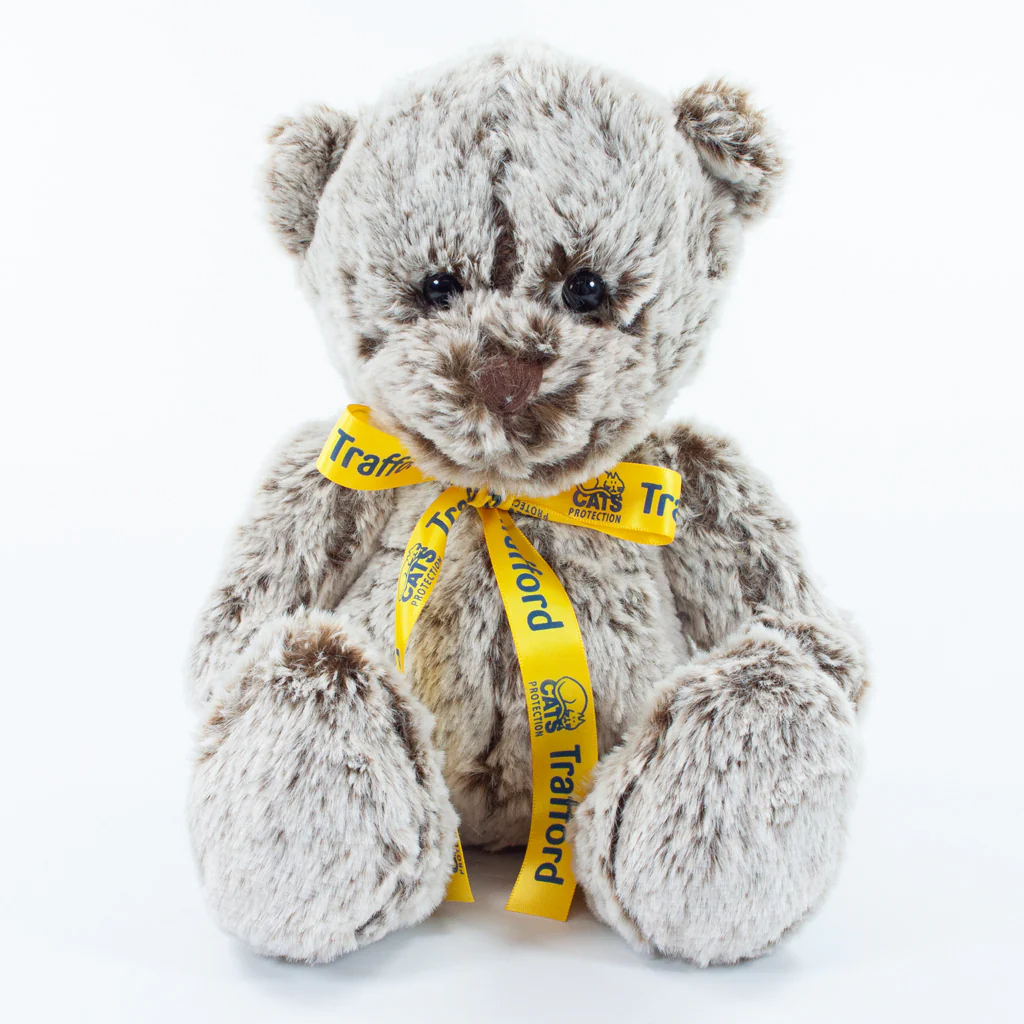 Bow Bear II 20cm Premier Bear, Cocoa