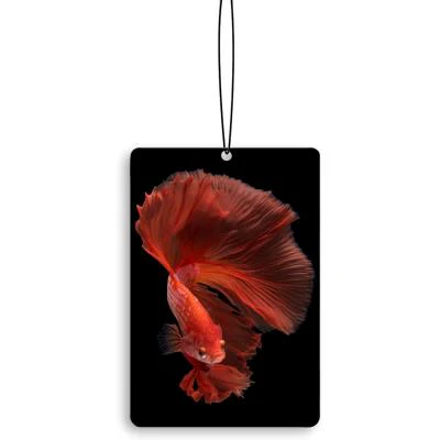 Car Air Fresheners - Image 13