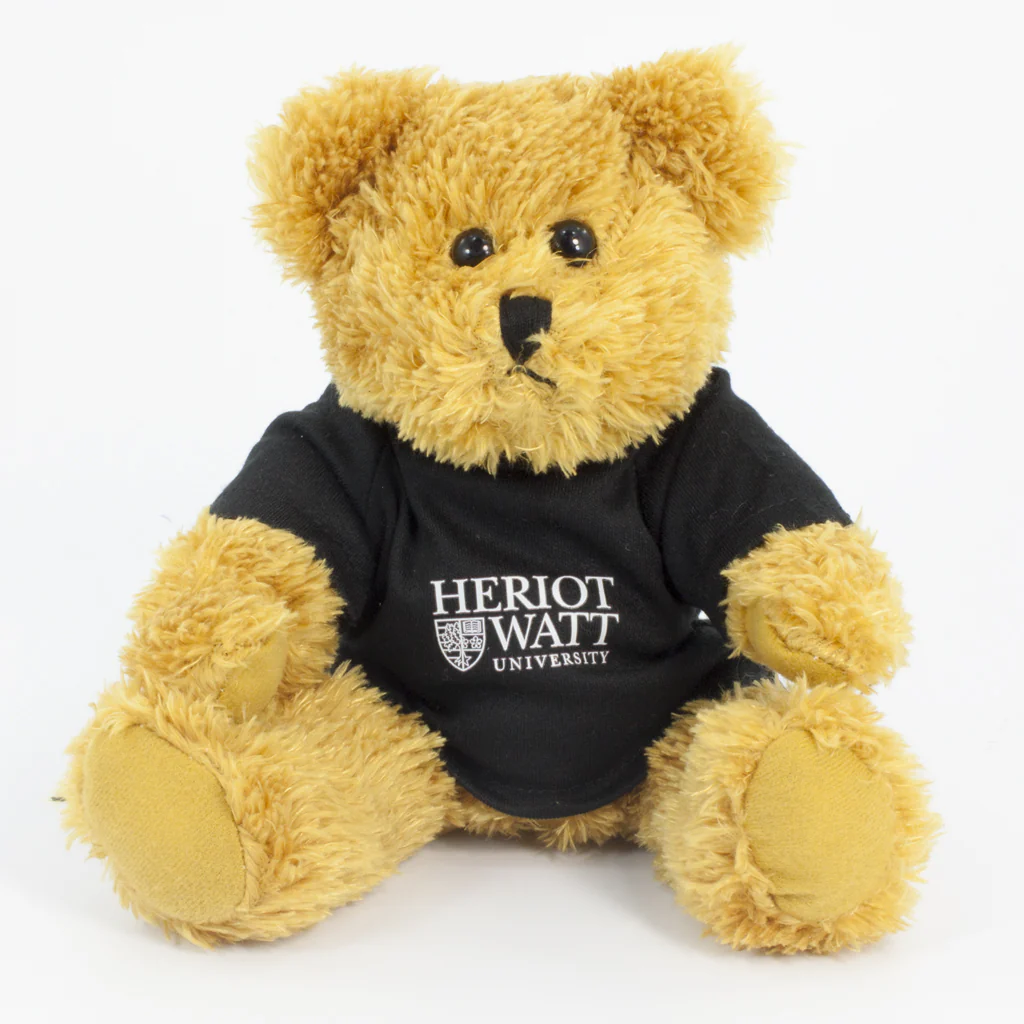 Coloured T-Shirt Bear III 25cm Sparkie Bear