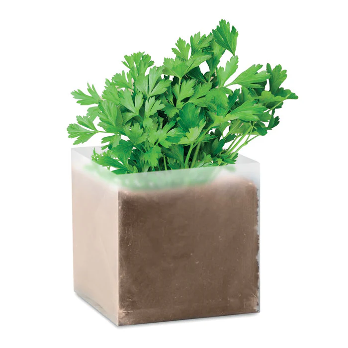 Compost with seeds - Image 8