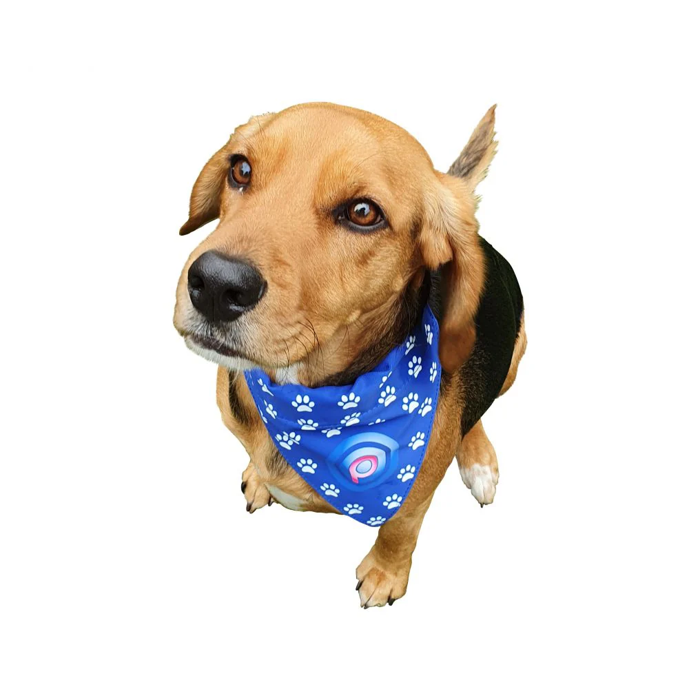 Dog Bandana - Image 3