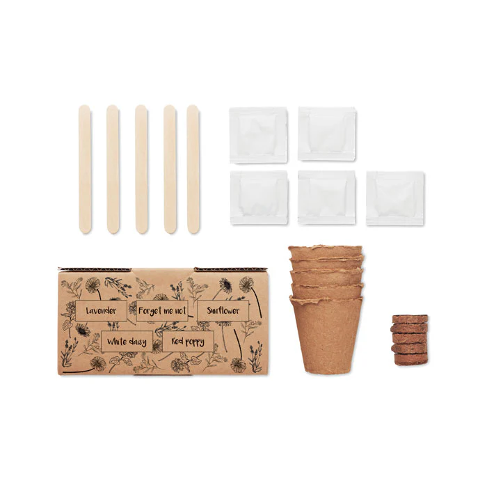 Flowers growing kit - Image 5