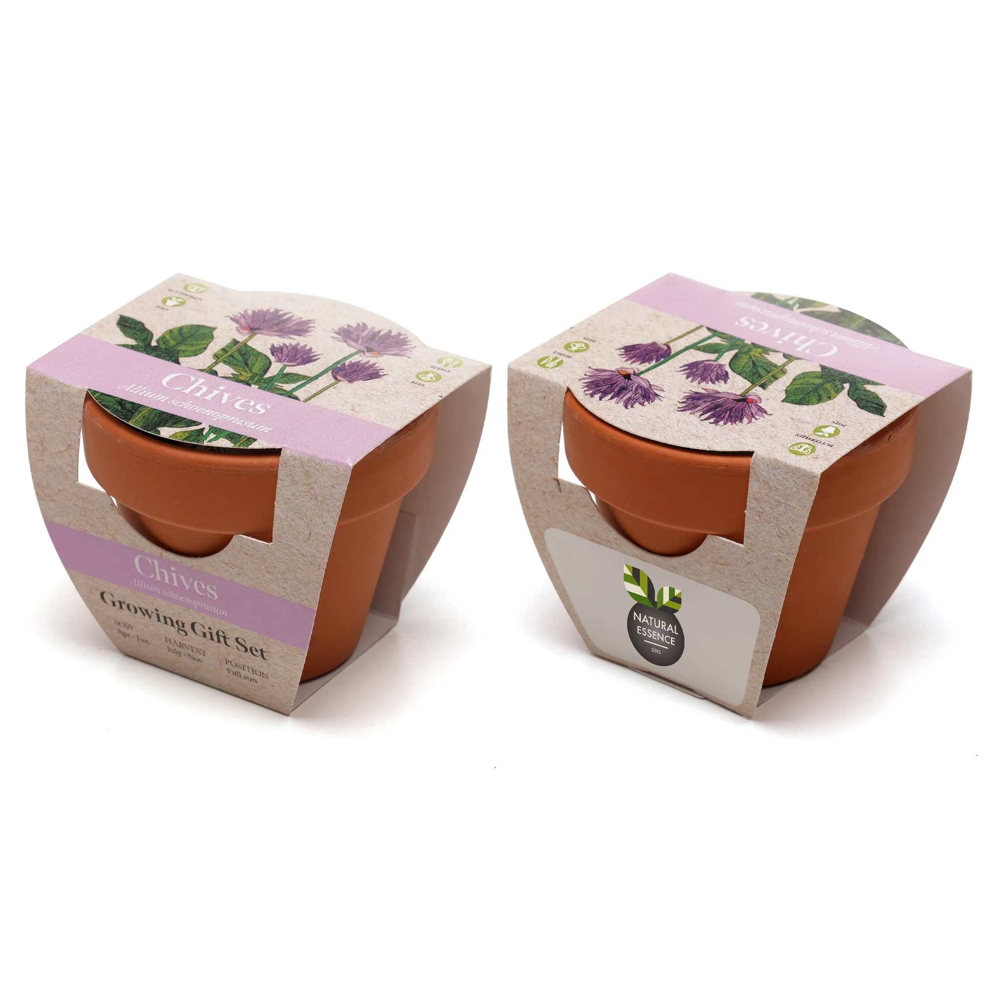 Growing Gift Chives