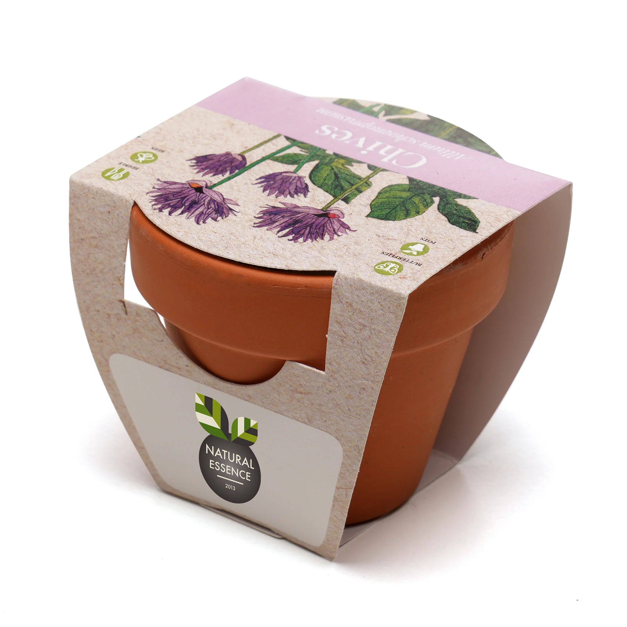 Growing Gift Chives - Image 2