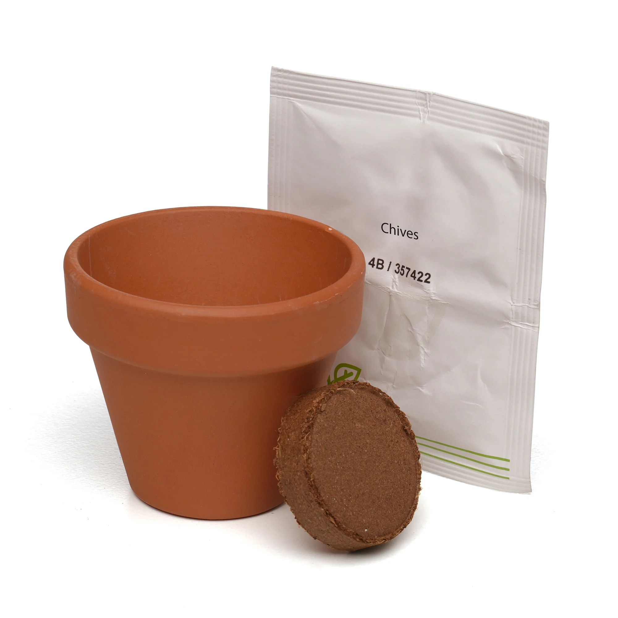Growing Gift Chives - Image 6