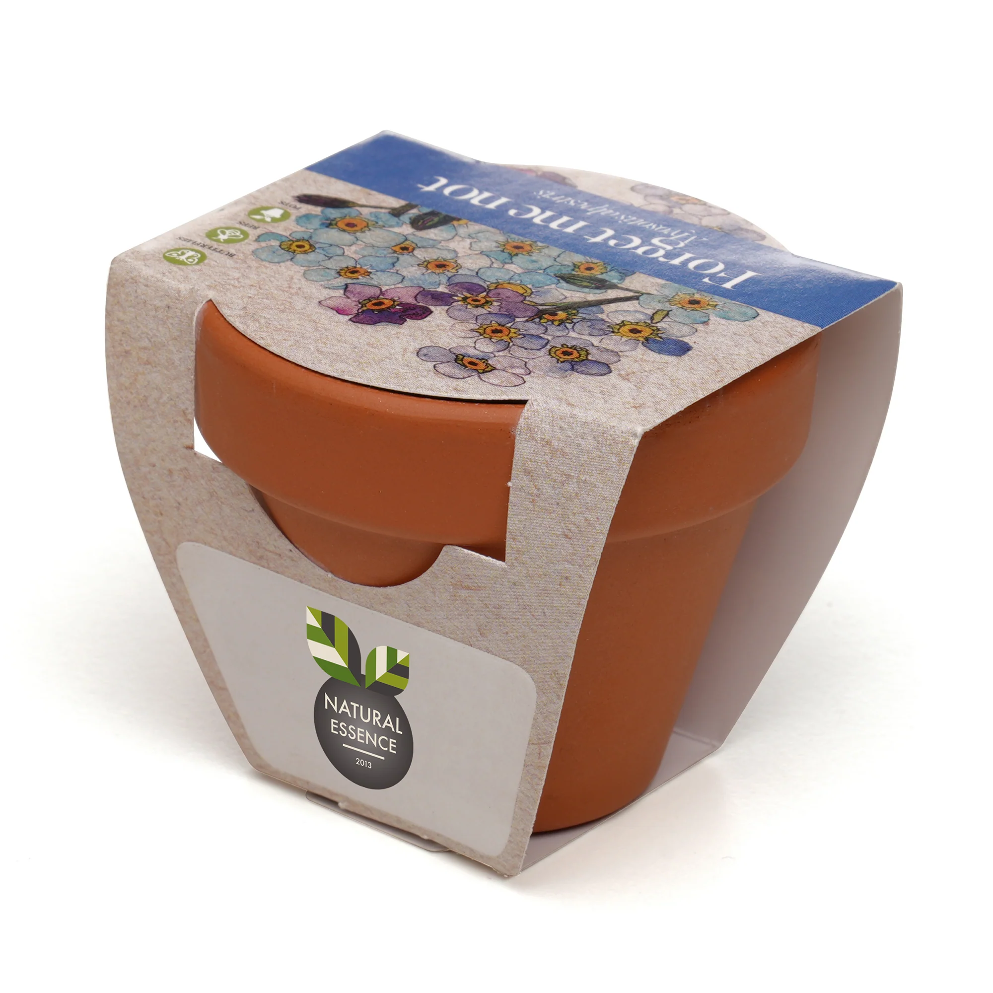 Growing Gift Forget-me-not - Image 3