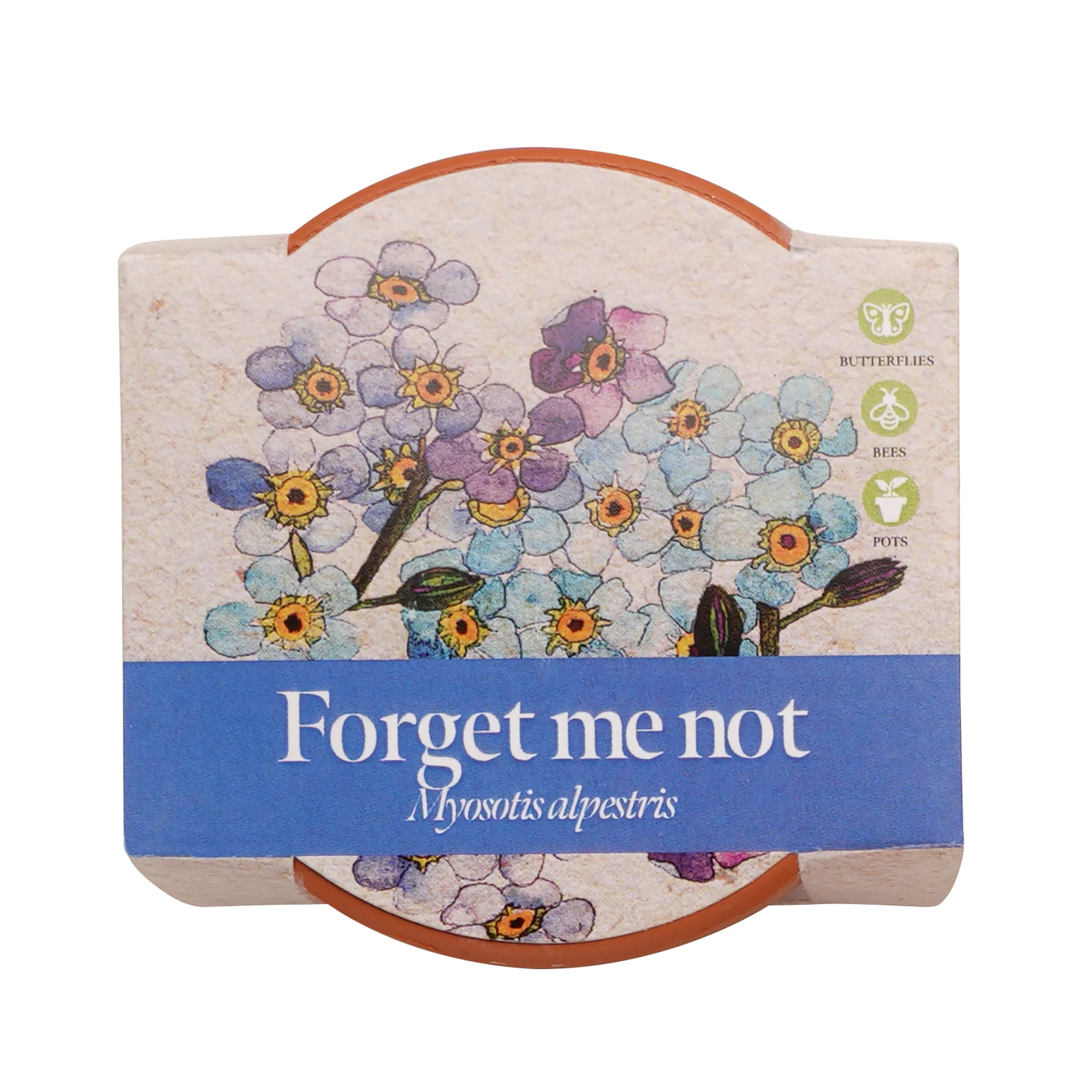 Growing Gift Forget-me-not - Image 4