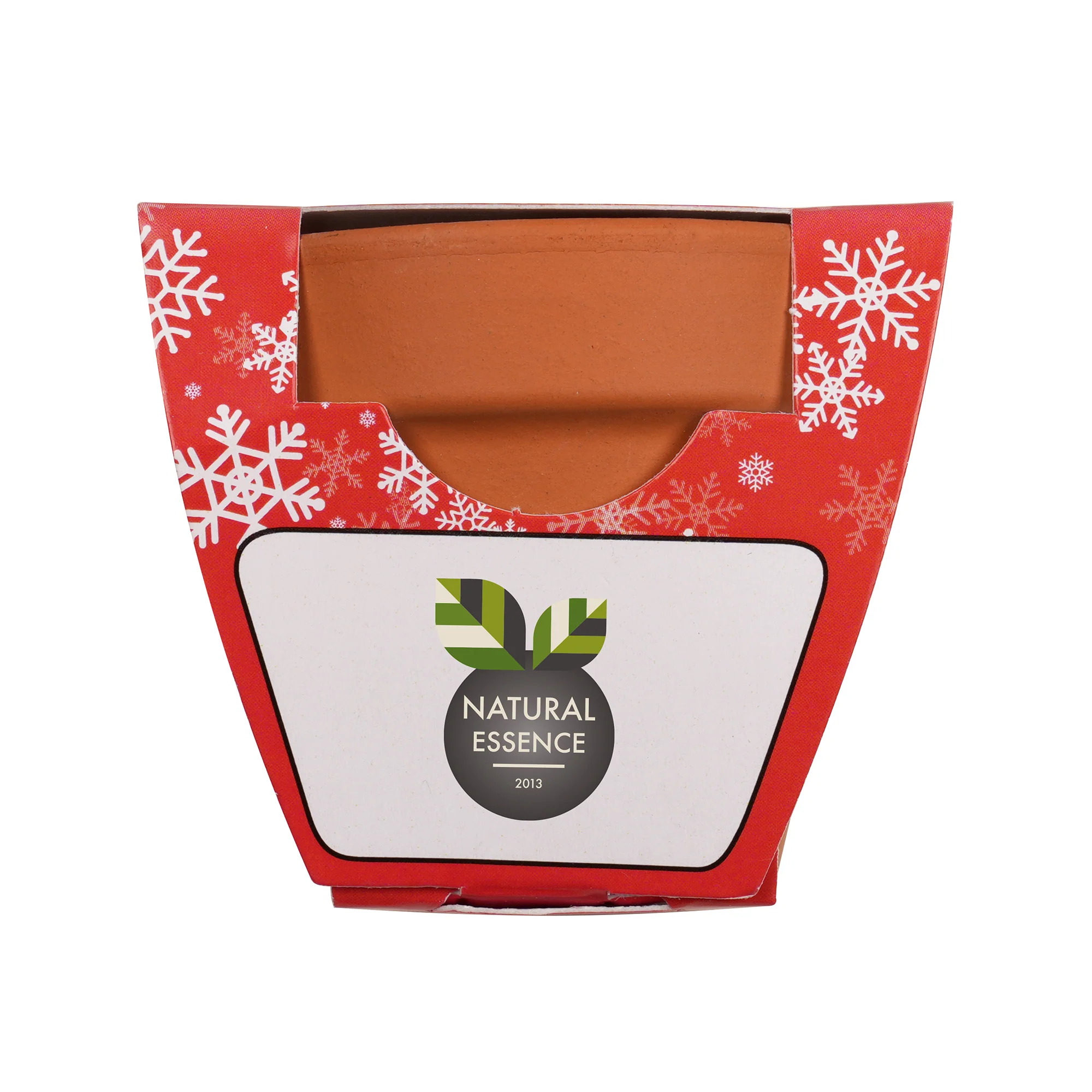 Growing Gift Norwegian Spruce - Image 8
