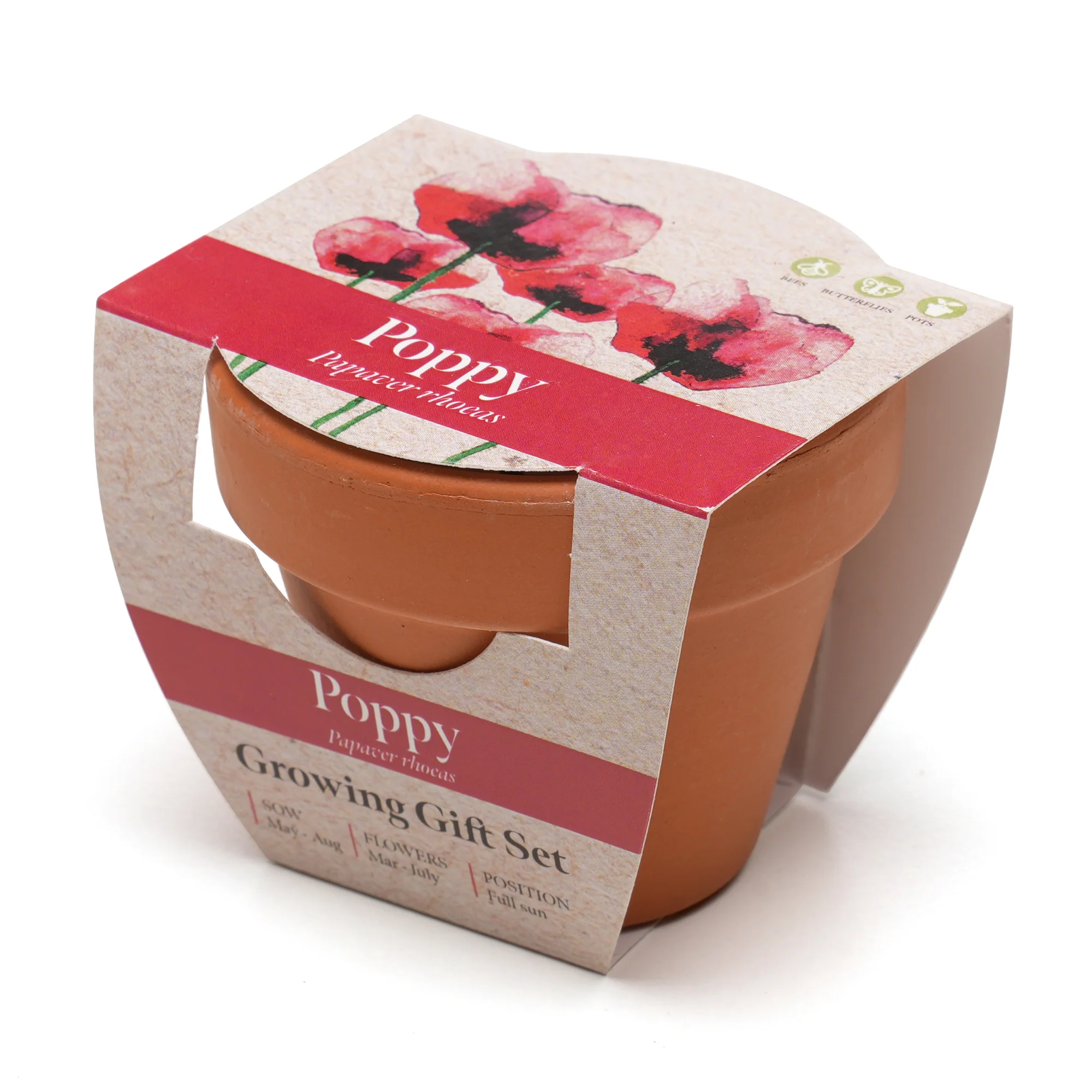 Growing Gift Poppy - Image 3