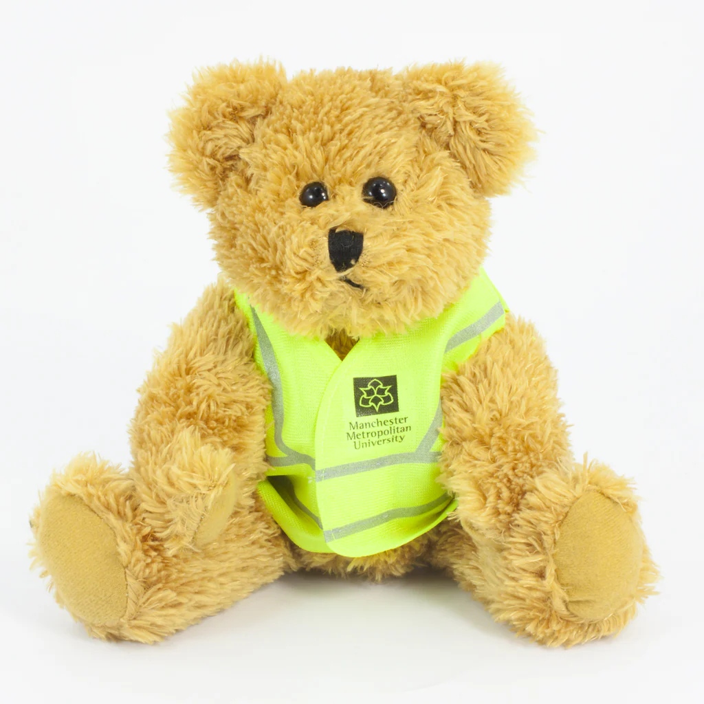 Hi Vis Bear III - Image 45
