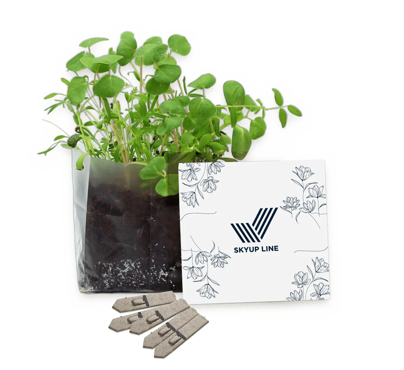 Letterbox Gardens - Image 2