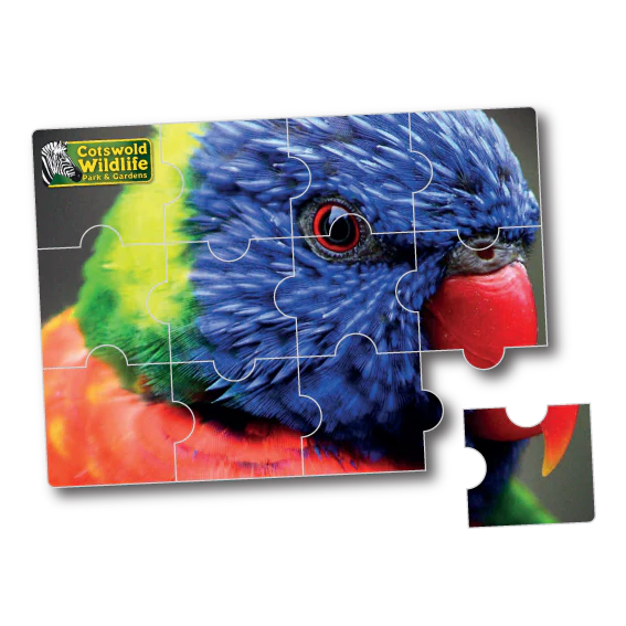 Magnet with jigsaw piecies kiss cuts