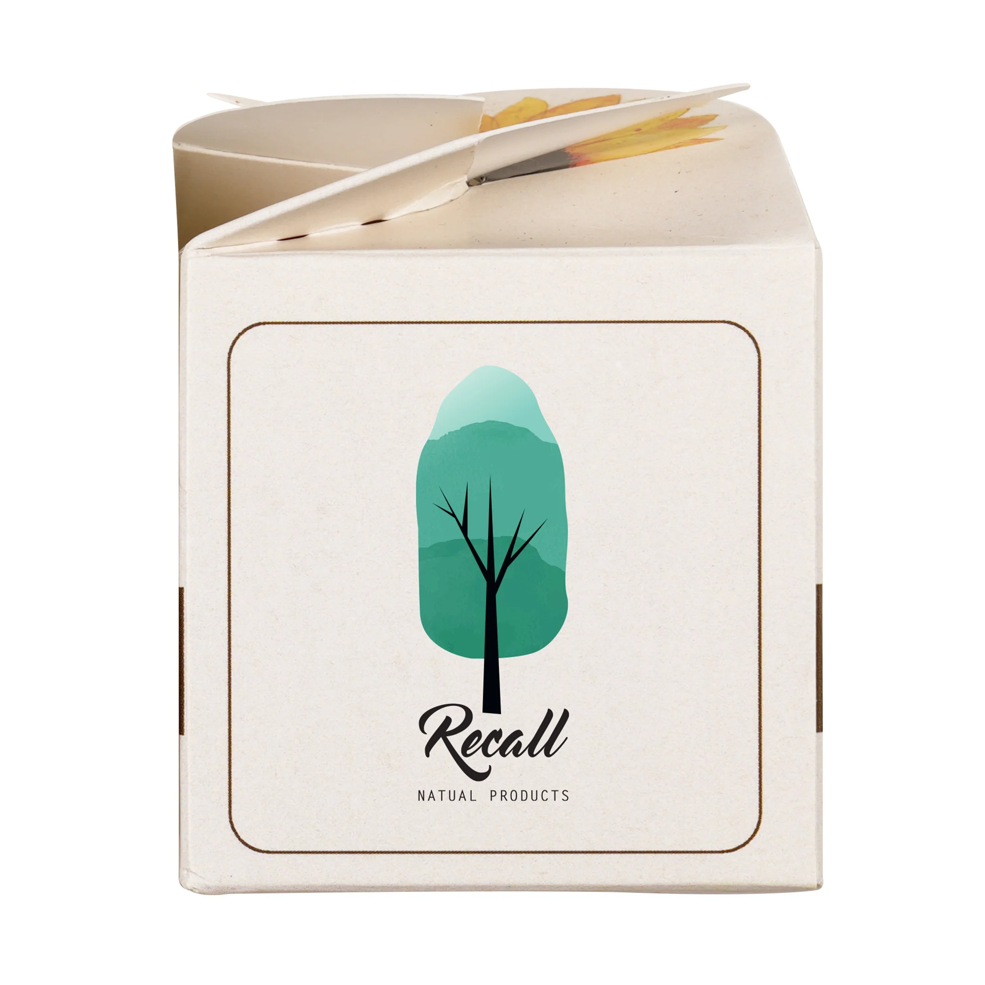 Mini Box Kit Sunflower - Image 4