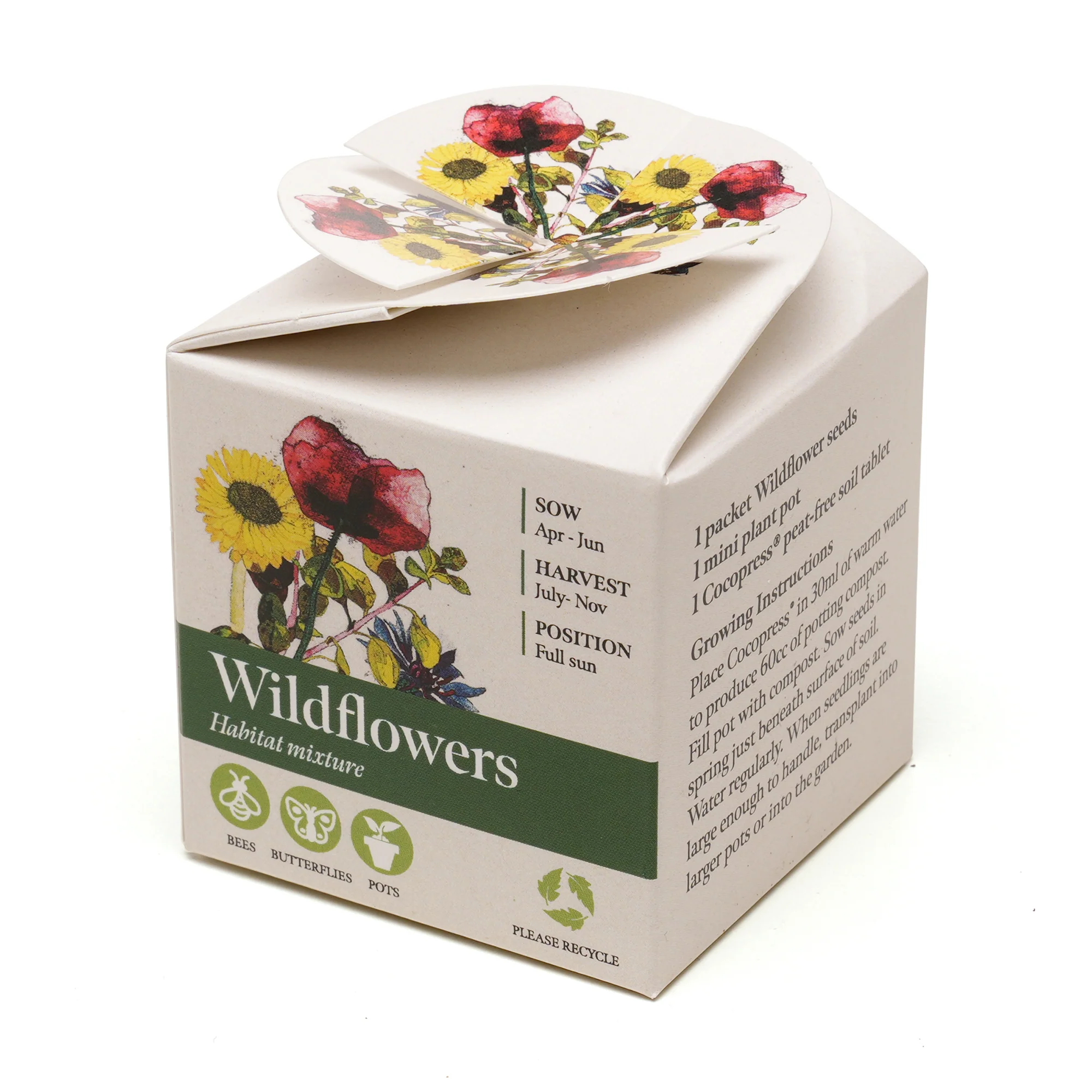 Mini Box Kit Wild Flowers Mix - Image 2