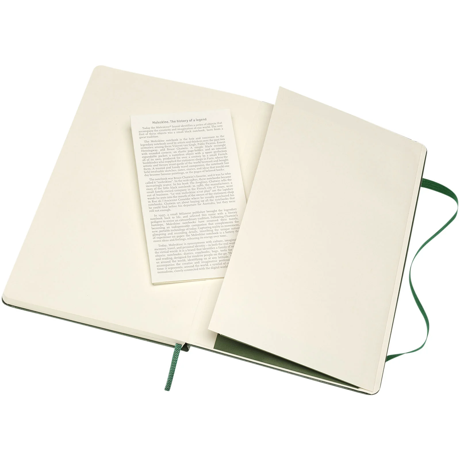Moleskine Classic L hard cover notebook - ruled - Image 102