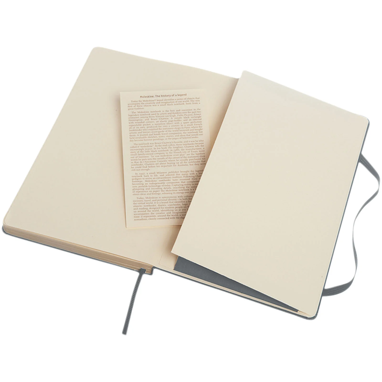 Moleskine Classic L hard cover notebook - ruled - Image 29
