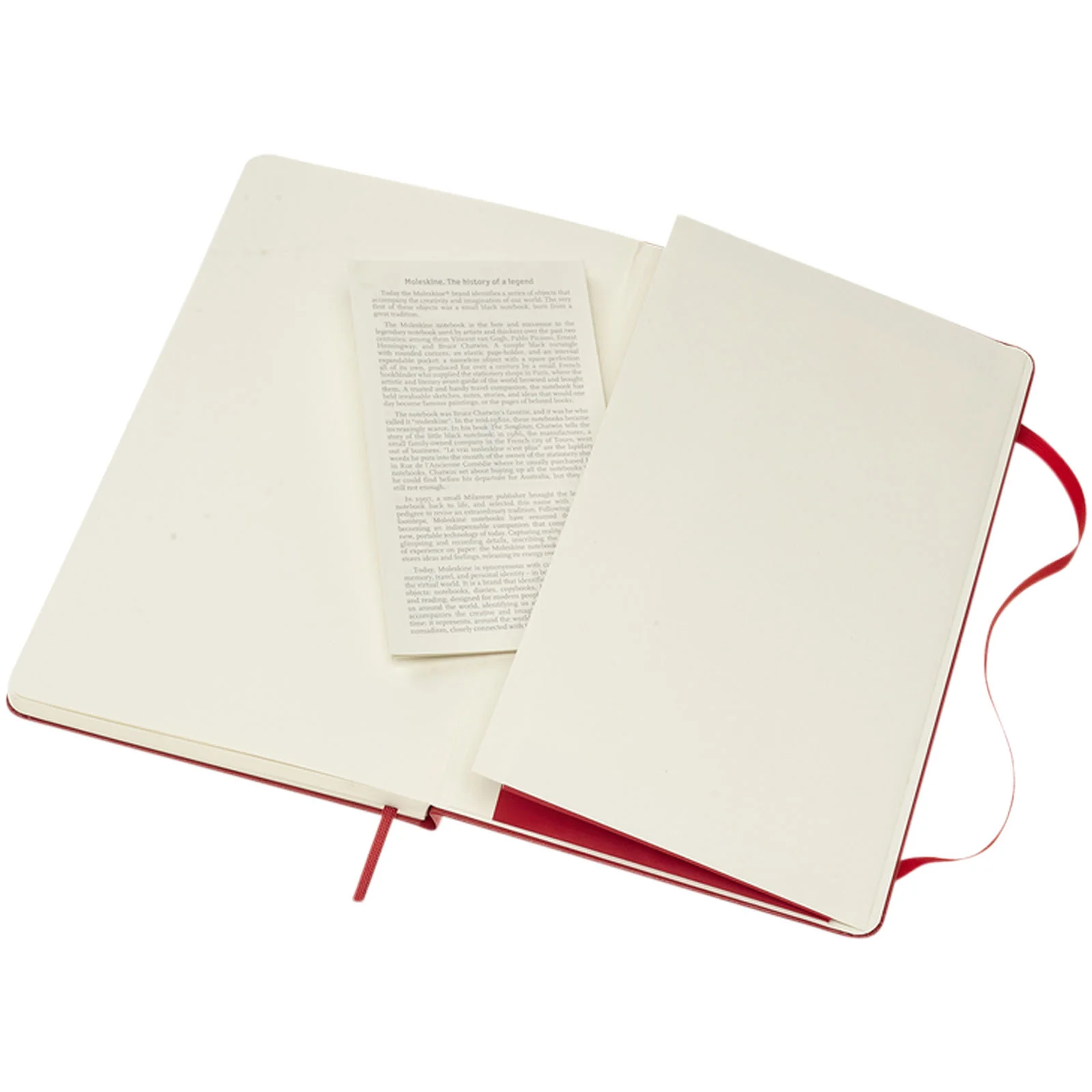 Moleskine Classic L hard cover notebook - ruled - Image 86