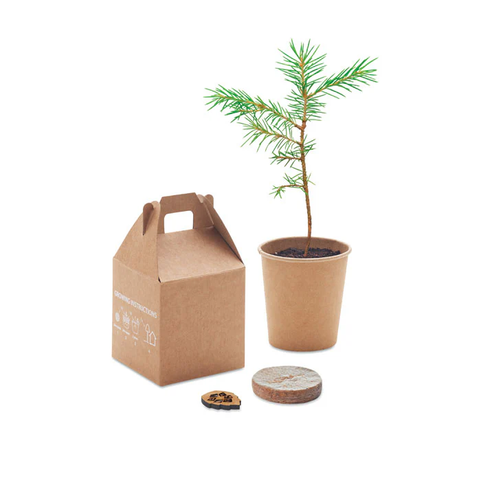 Pine tree set - Image 9