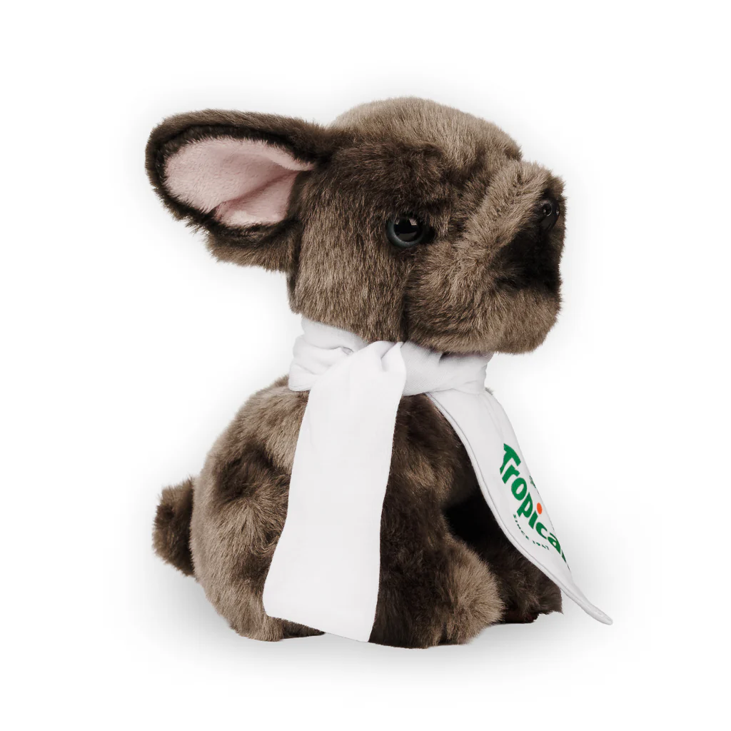 Ravensden French Bulldog with Scarf - Image 2
