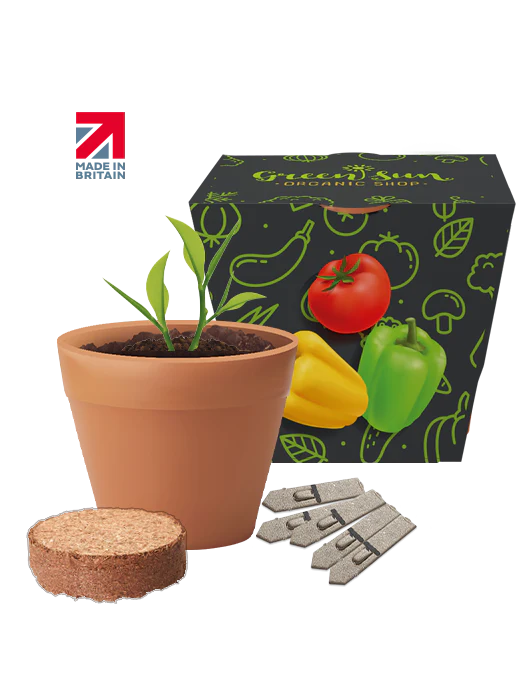 Recycled Pot Gardens