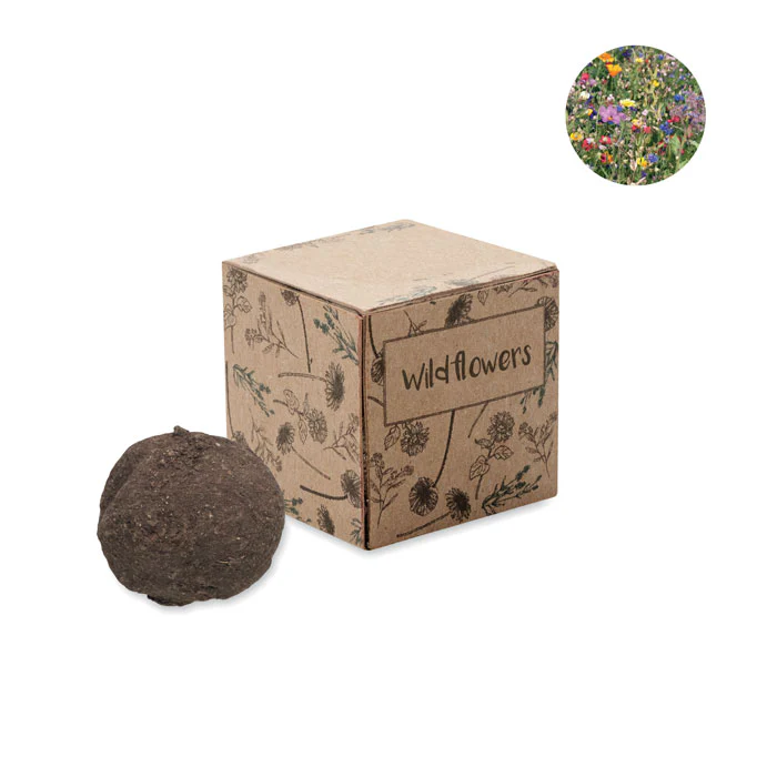 Seed bomb growing kit - Image 4