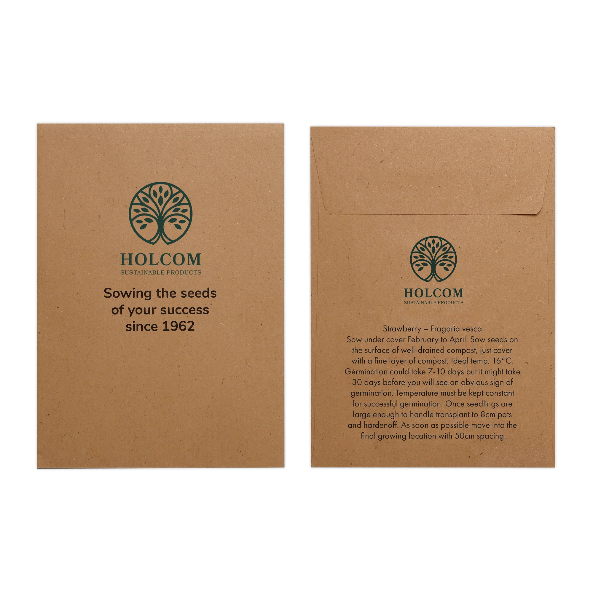Seed Pack in Kraft Paper Envelope Strawberry - Image 2