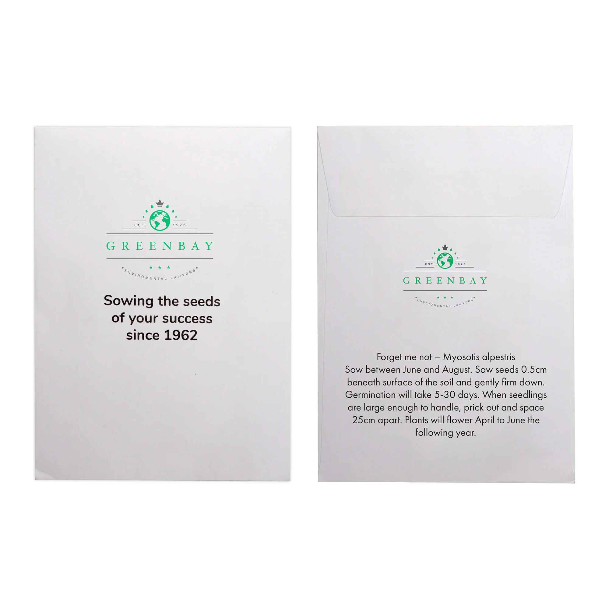Seed Pack in White Paper Envelope Forget-me-not - Image 2