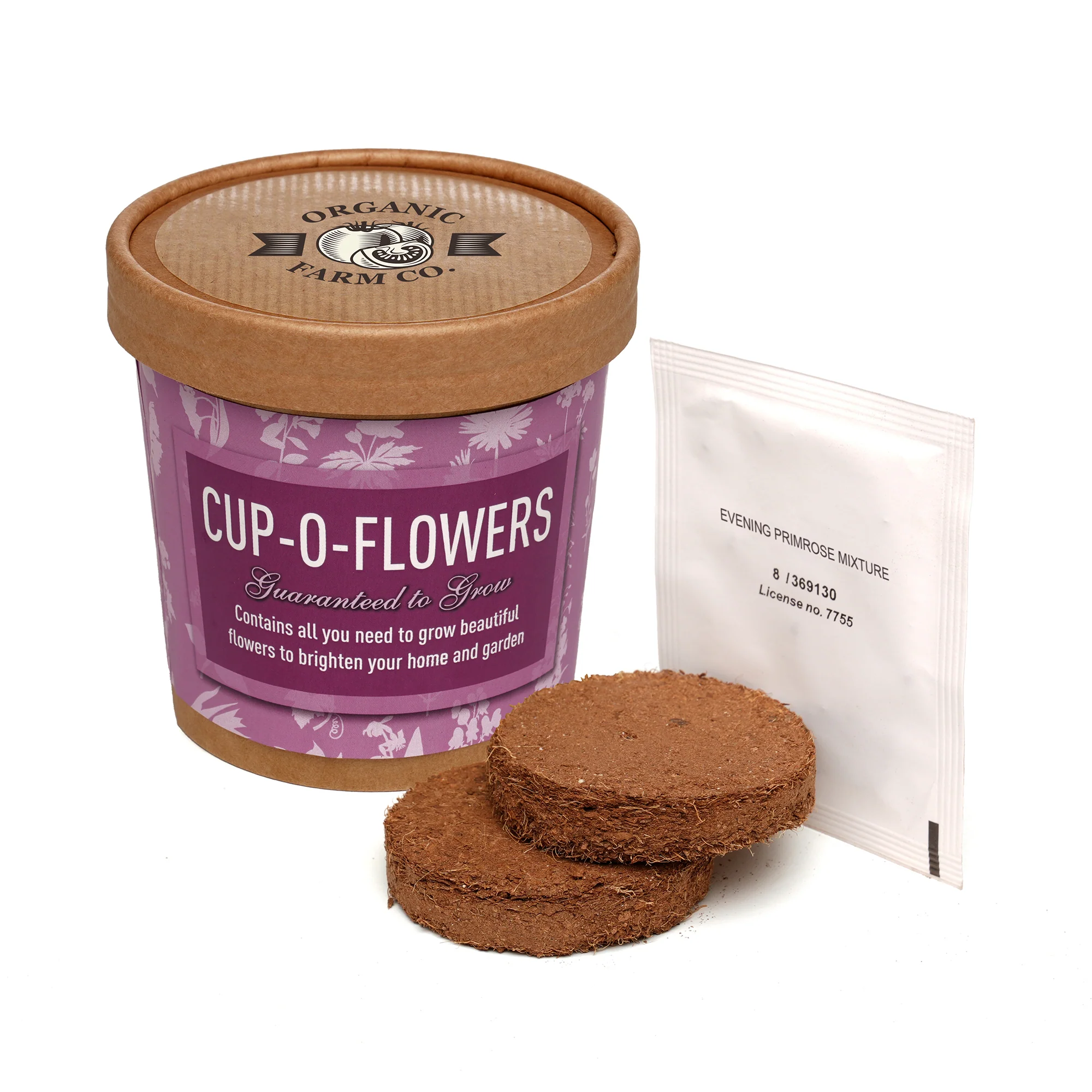 Seed Pot Cup'o Cardboard Pot Evening Primrose