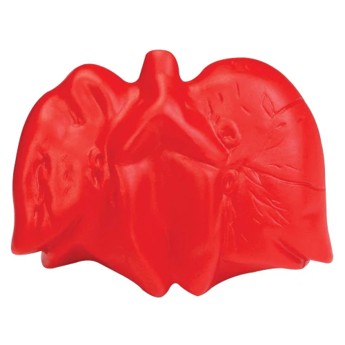 Stress Lungs - Image 2