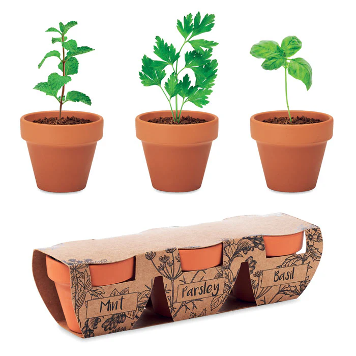 Terracotta 3 herb pot set - Image 2