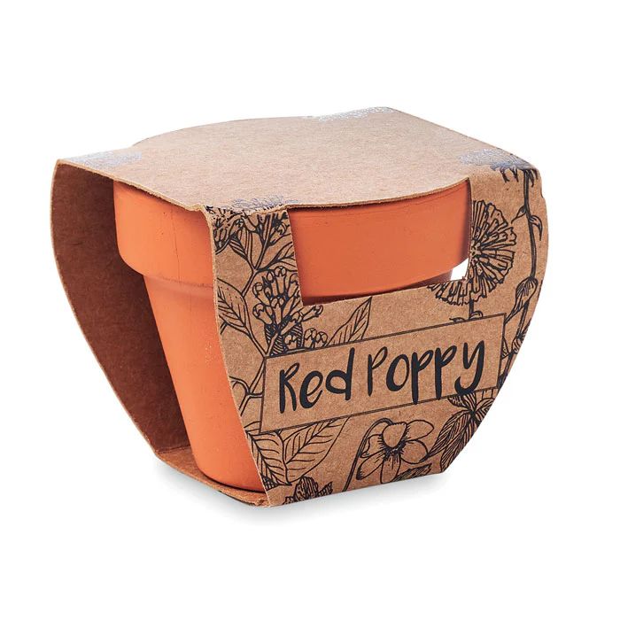 Terracotta Pot with Seeds - Image 8