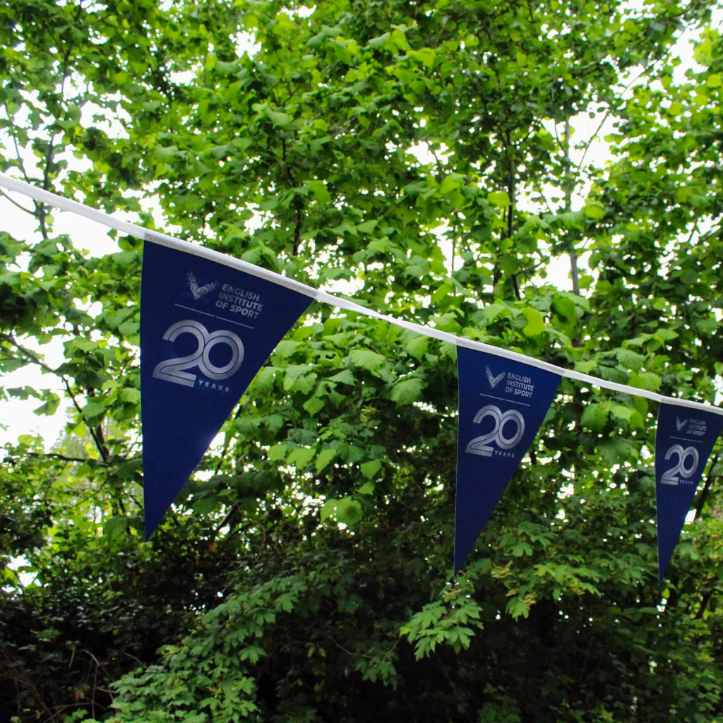 Triangular Synthetic Bunting - Image 2